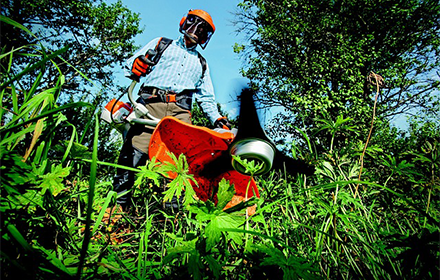 Mantenimiento de jardinerías en España