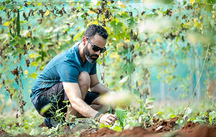 Mantenimiento de jardinerías en España