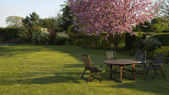 Servicios de mantenimiento de jardines en España